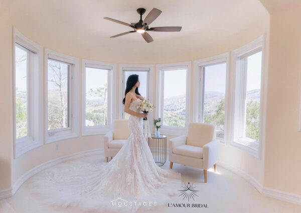 Amelia - Image 2